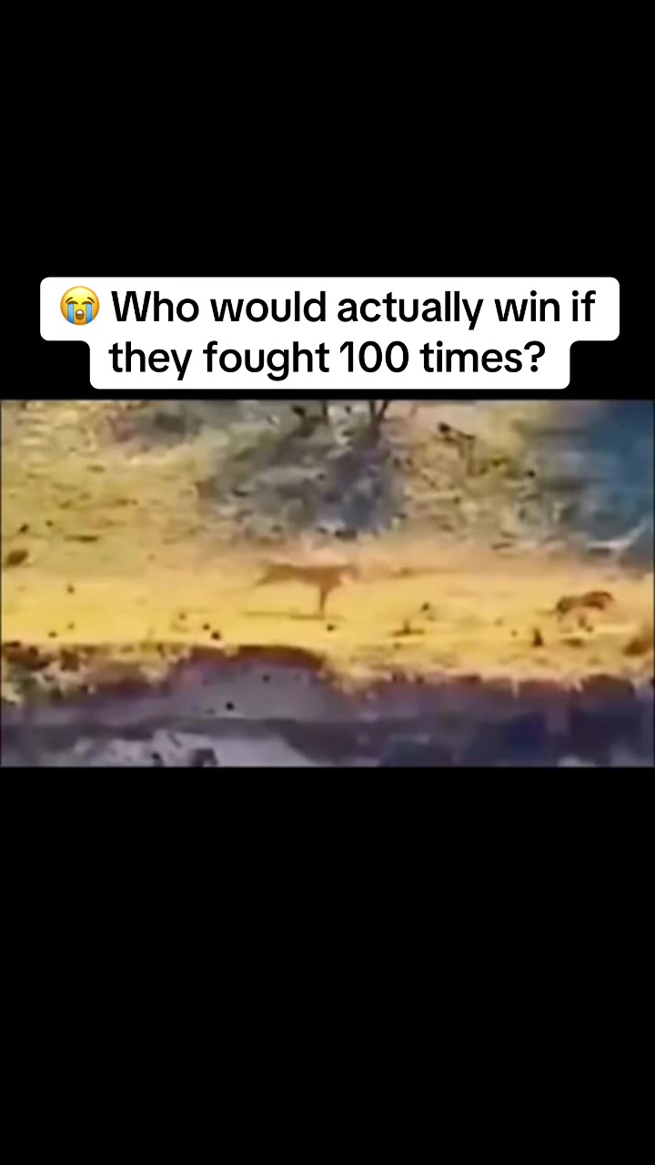 @Warthog