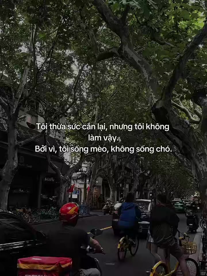 @gia bao.