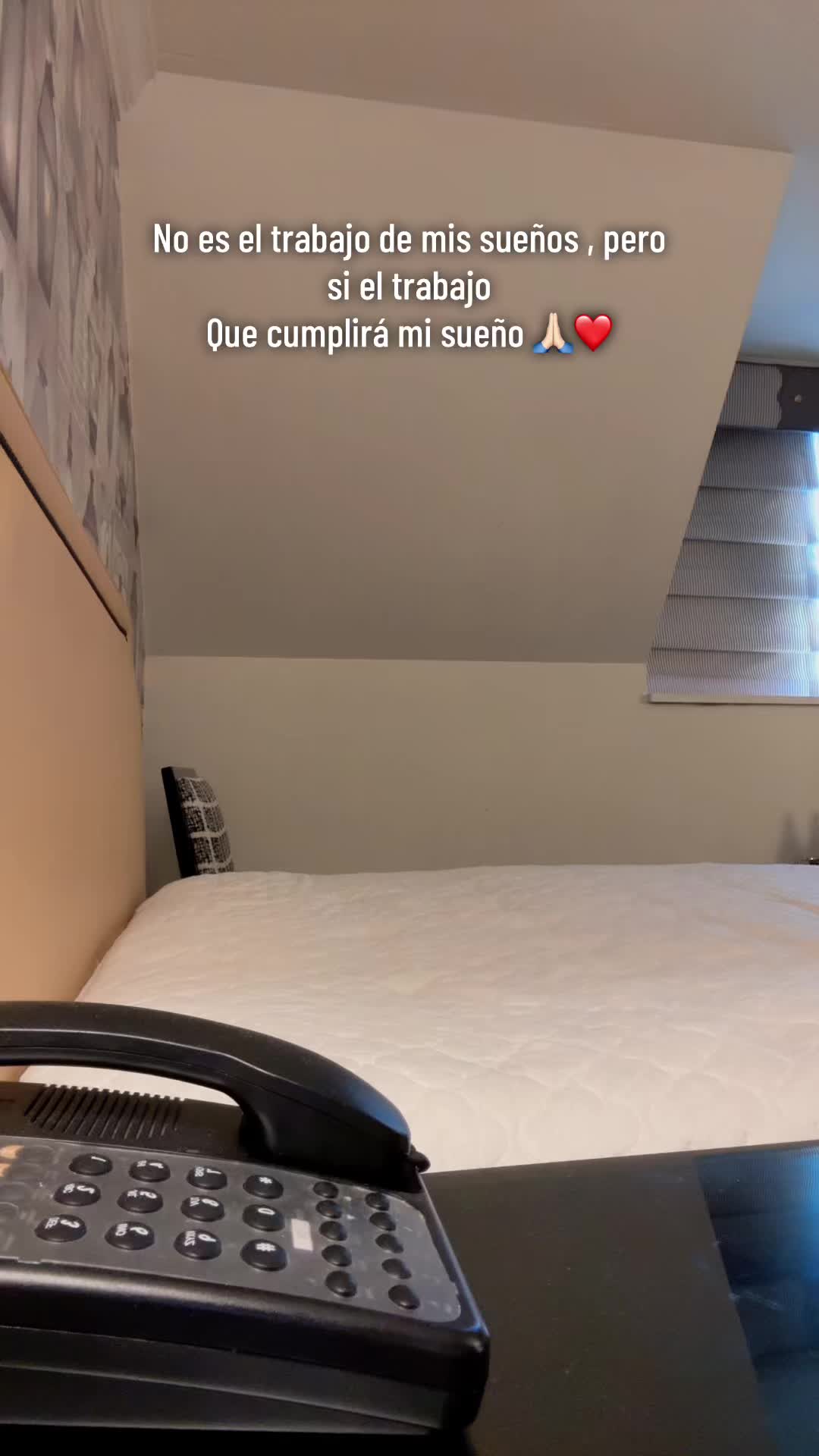 @Elizabeth Portillo