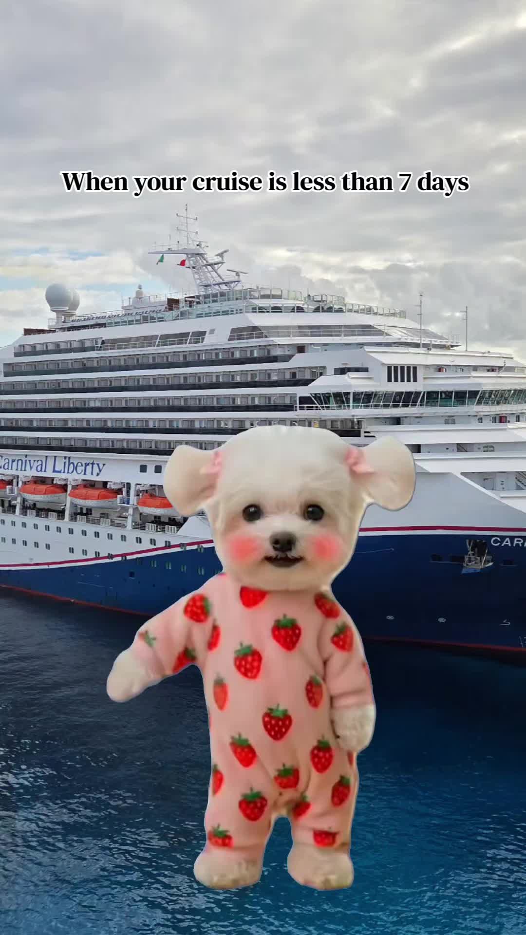 @Whit the Cruise Queen⚓️