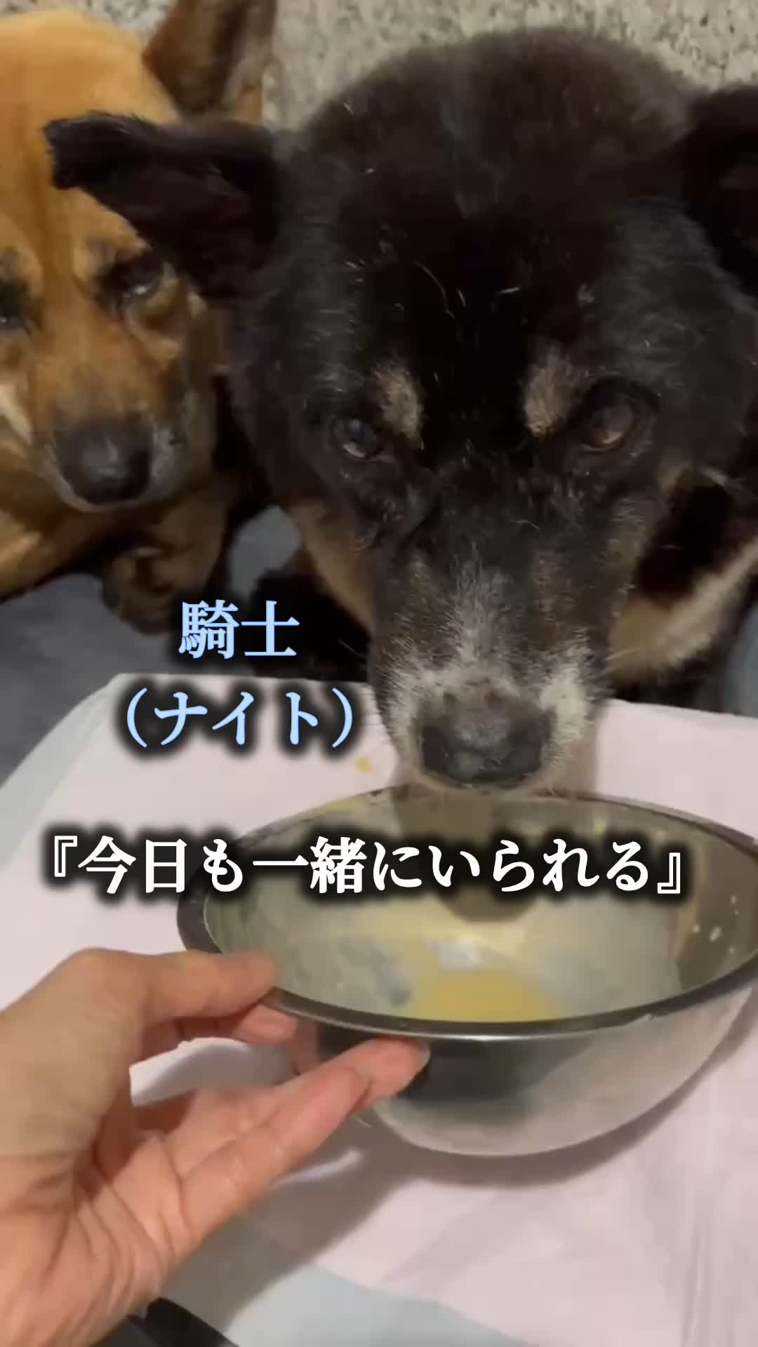 @まあくんハウス