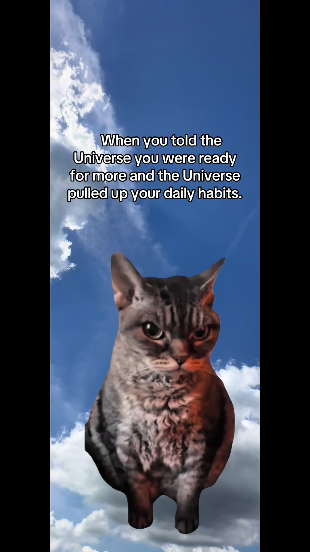 @michellemultidimensional