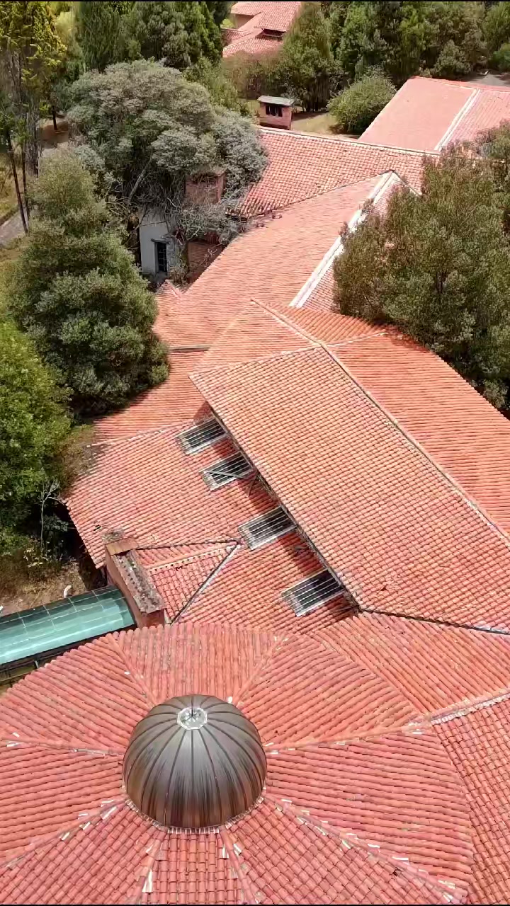 @LUIS ZAMORA