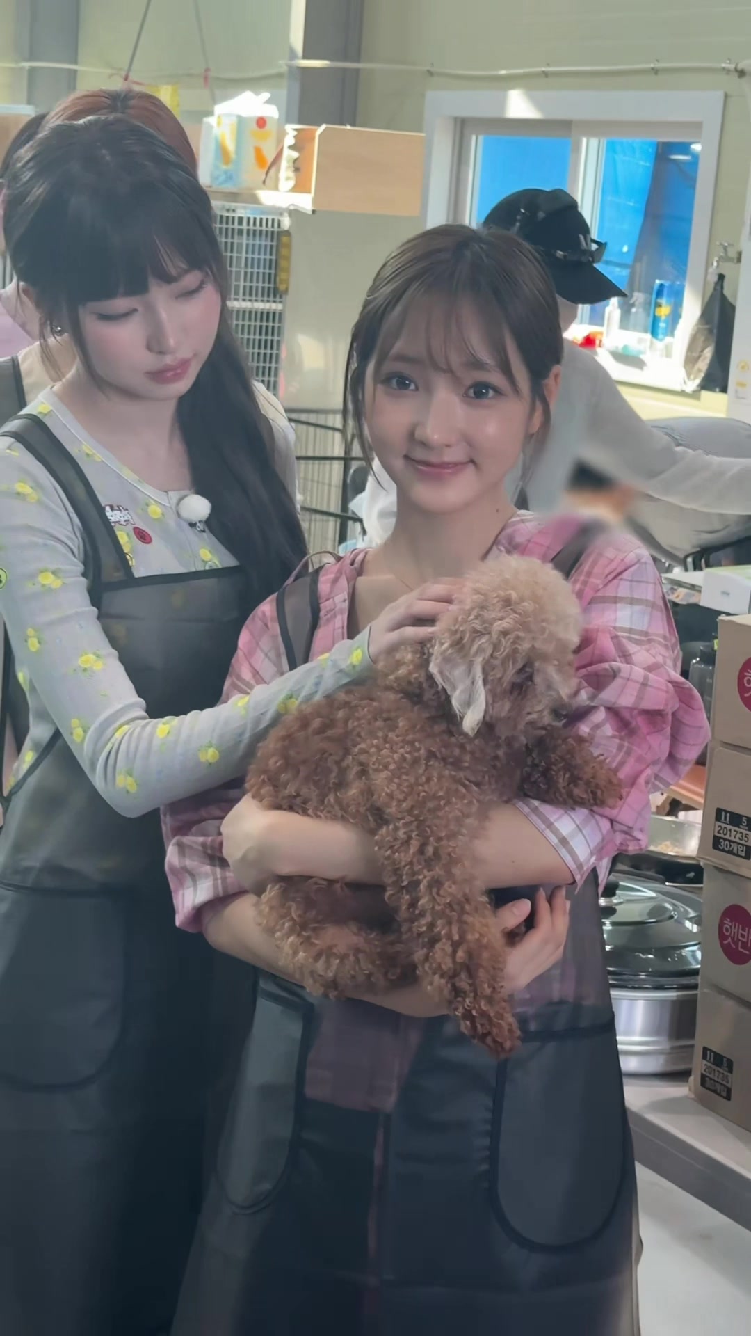 @KiiiKiii