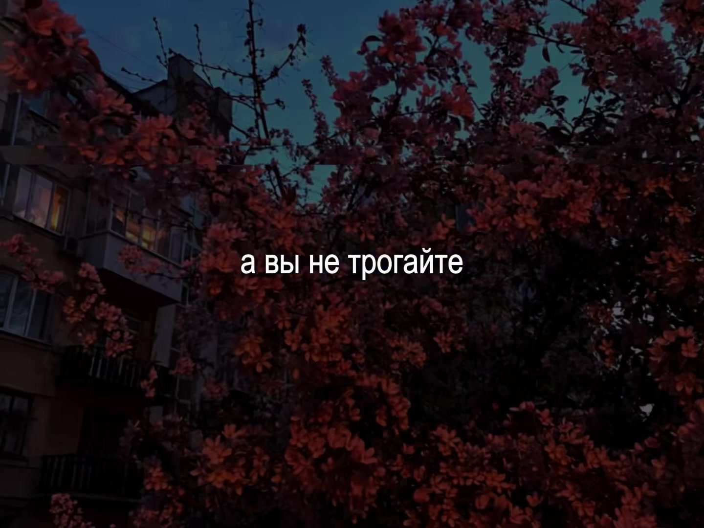 @lyrics 🎧