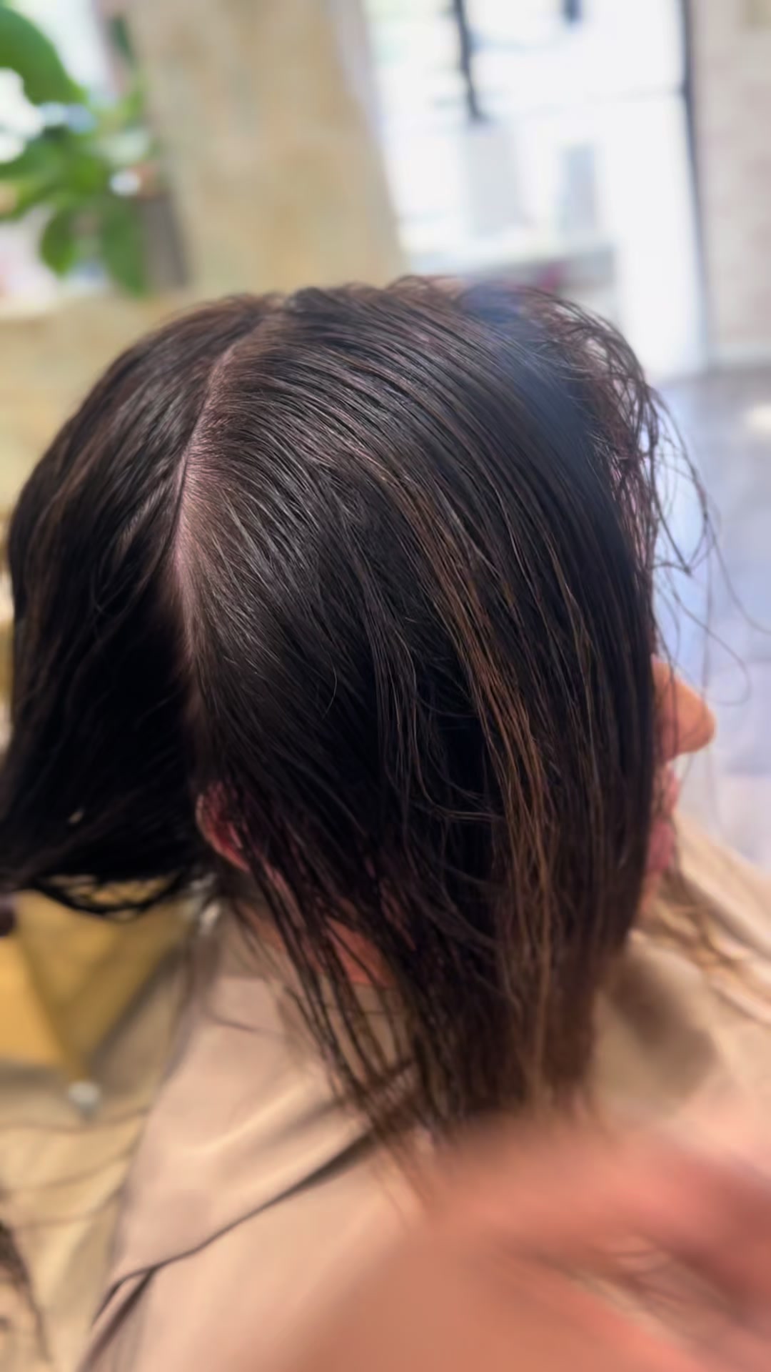 @Ice Salon