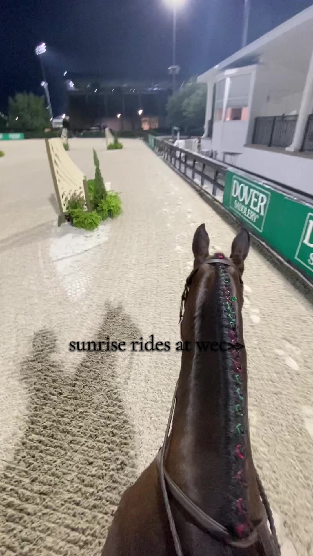 @.ktm.equestrian