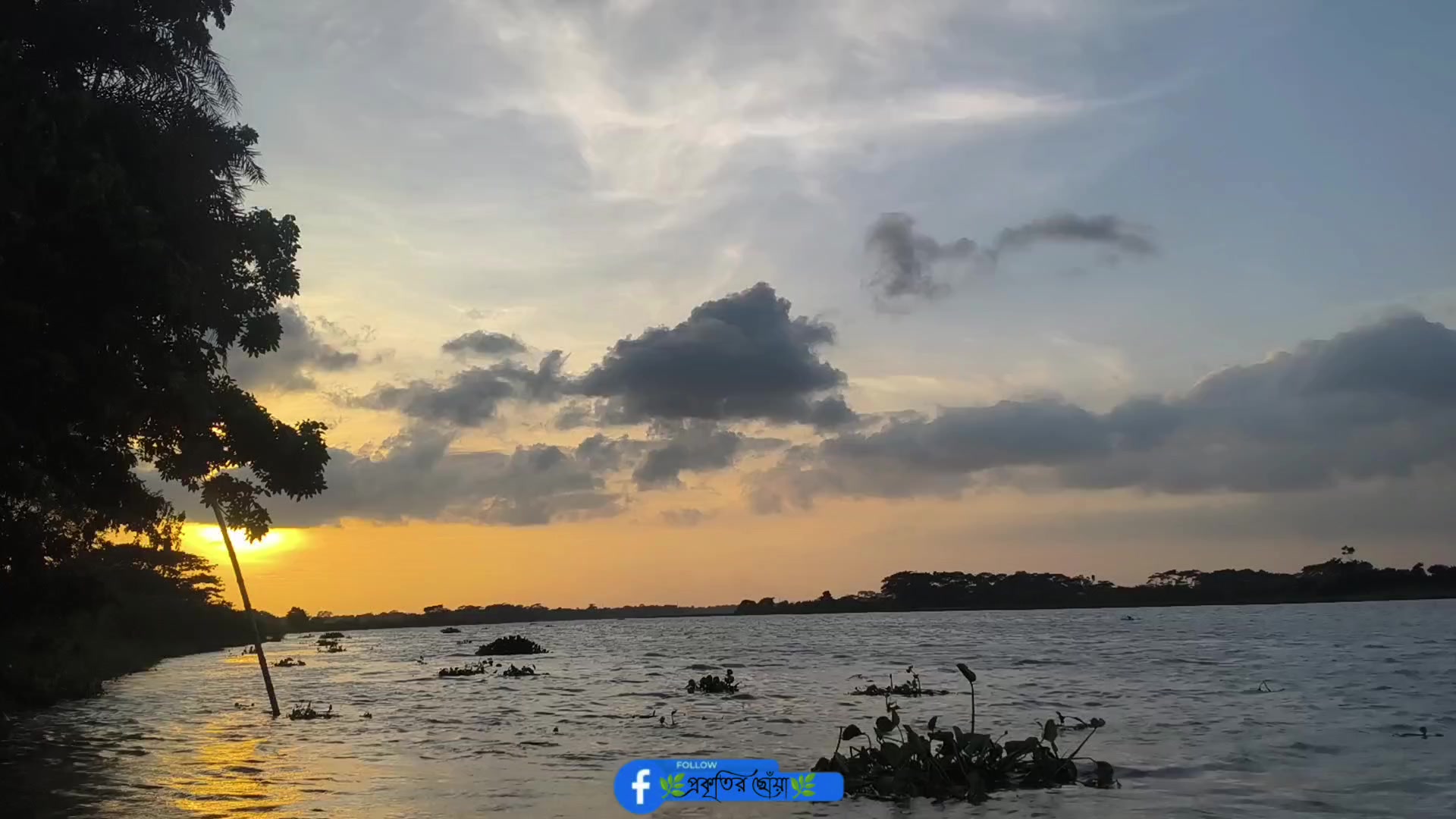 @🍃🕊️ ”প্রকৃতির ছোঁয়া” 🕊️🍃