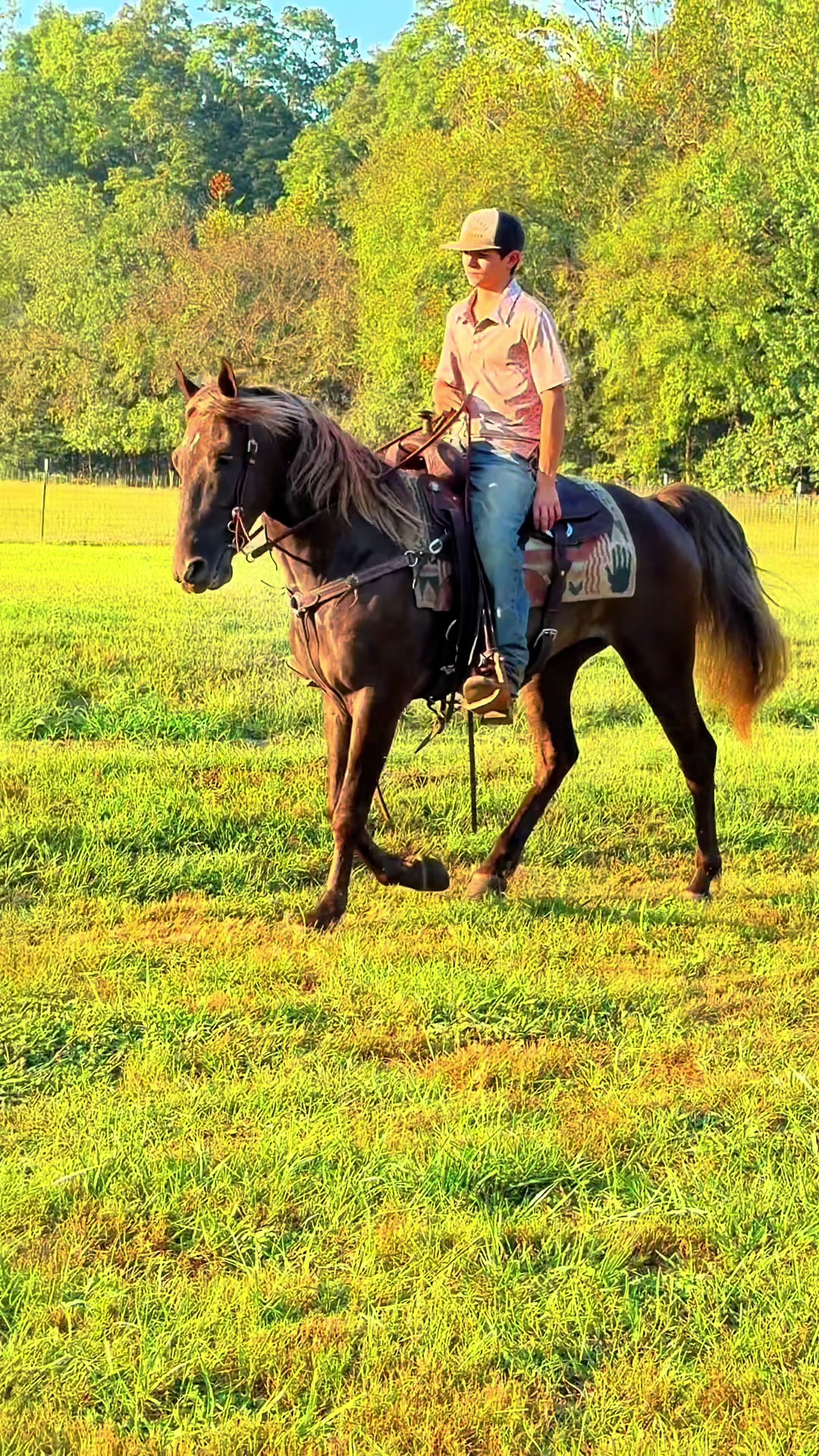 @Lucky D Ranch 🍀