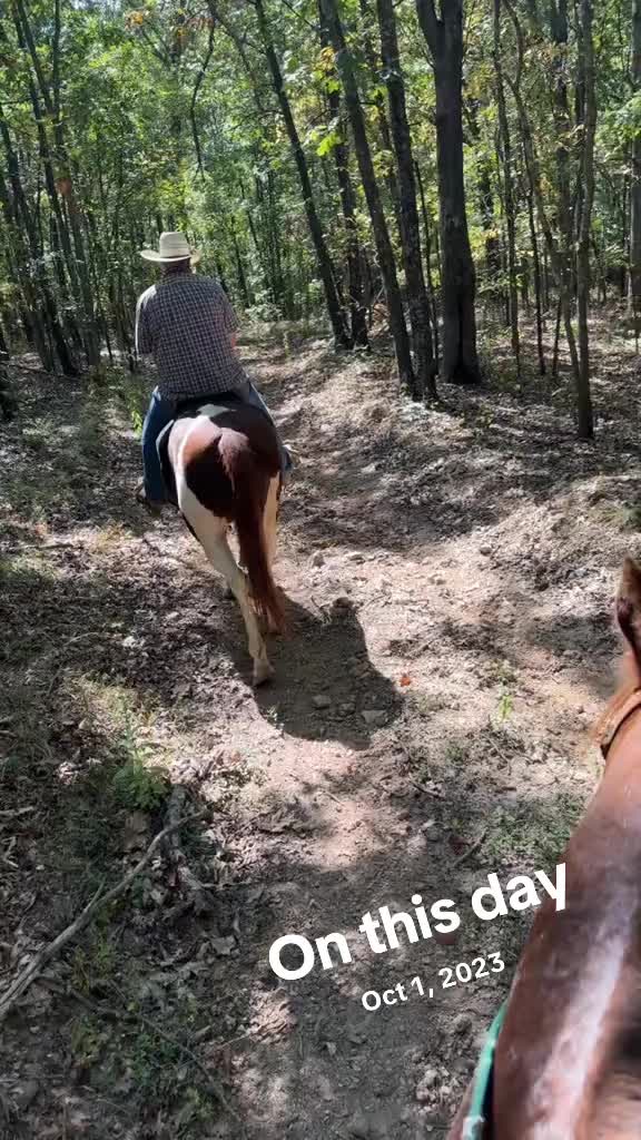 @cowgirlteacher🐎