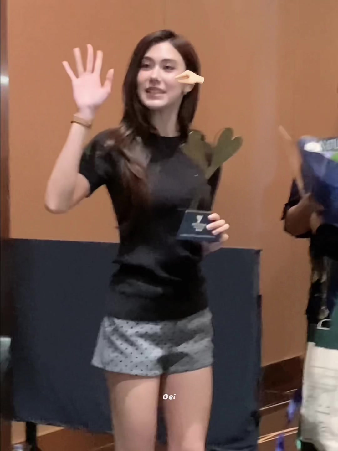 @Gei