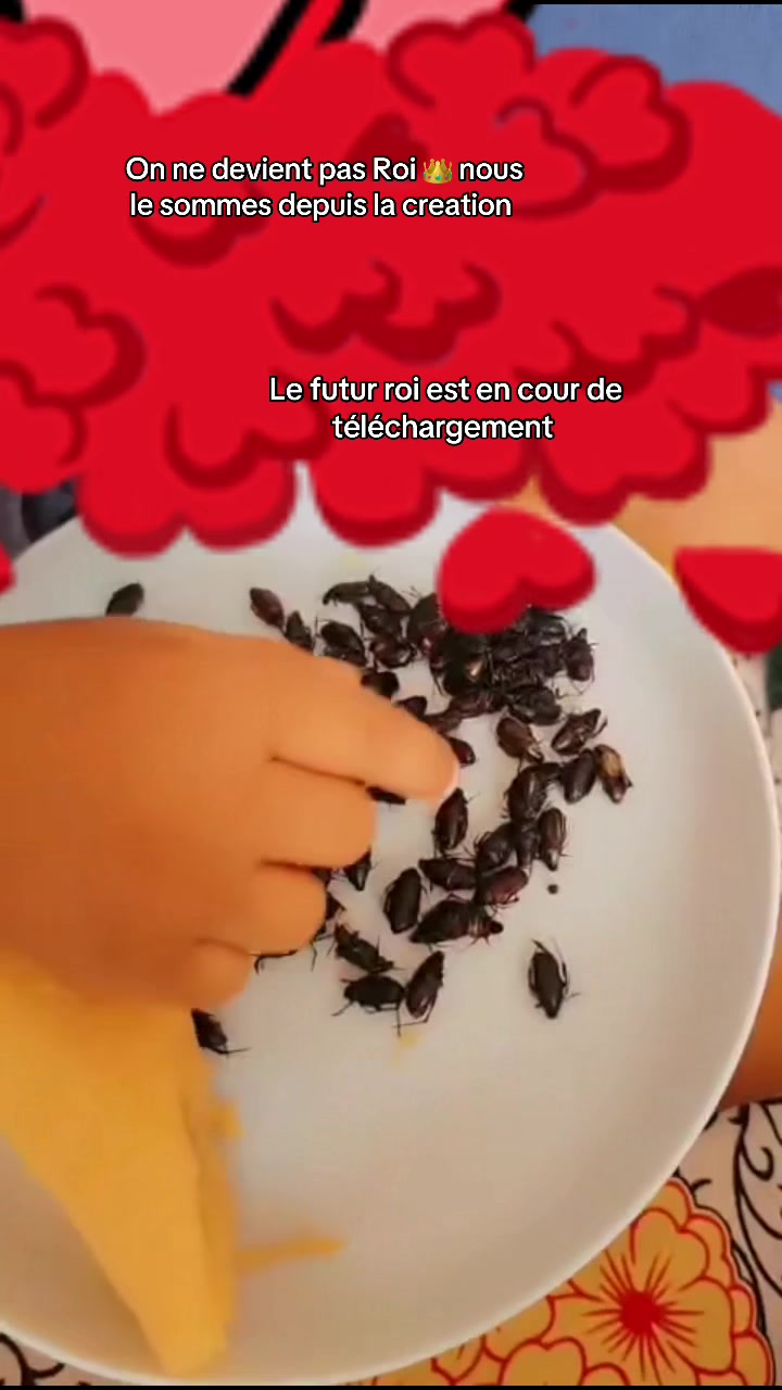 @Le_prince_de_bongoville🤴