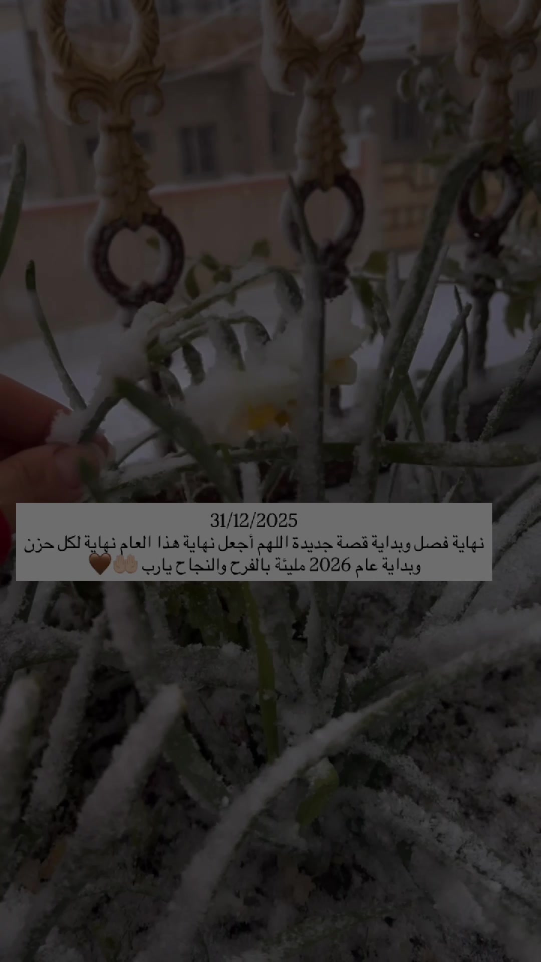 @لحظة الأمل 🫀🤍
