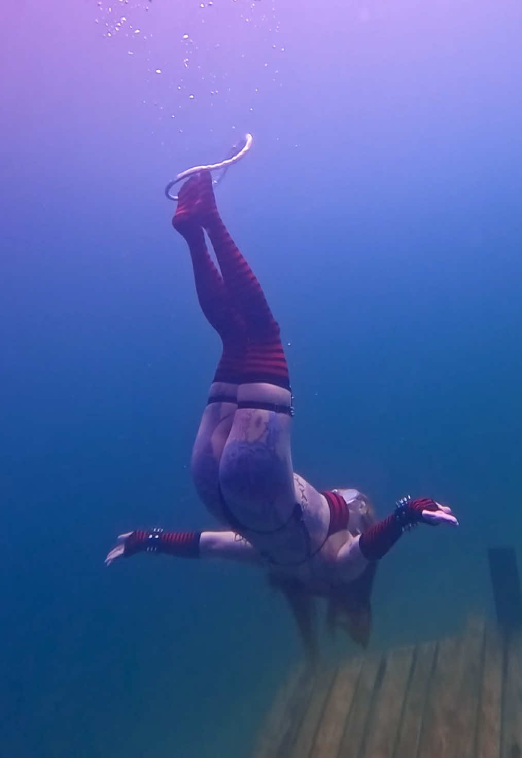 @Coralia Dives 🧜♀️