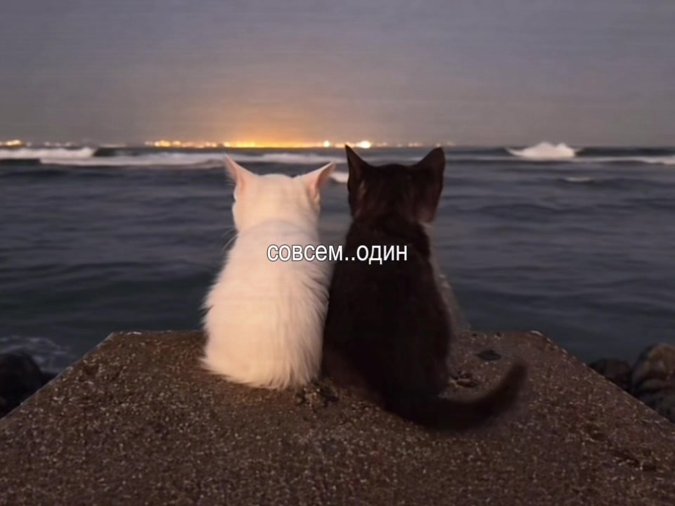 @твиксрム
