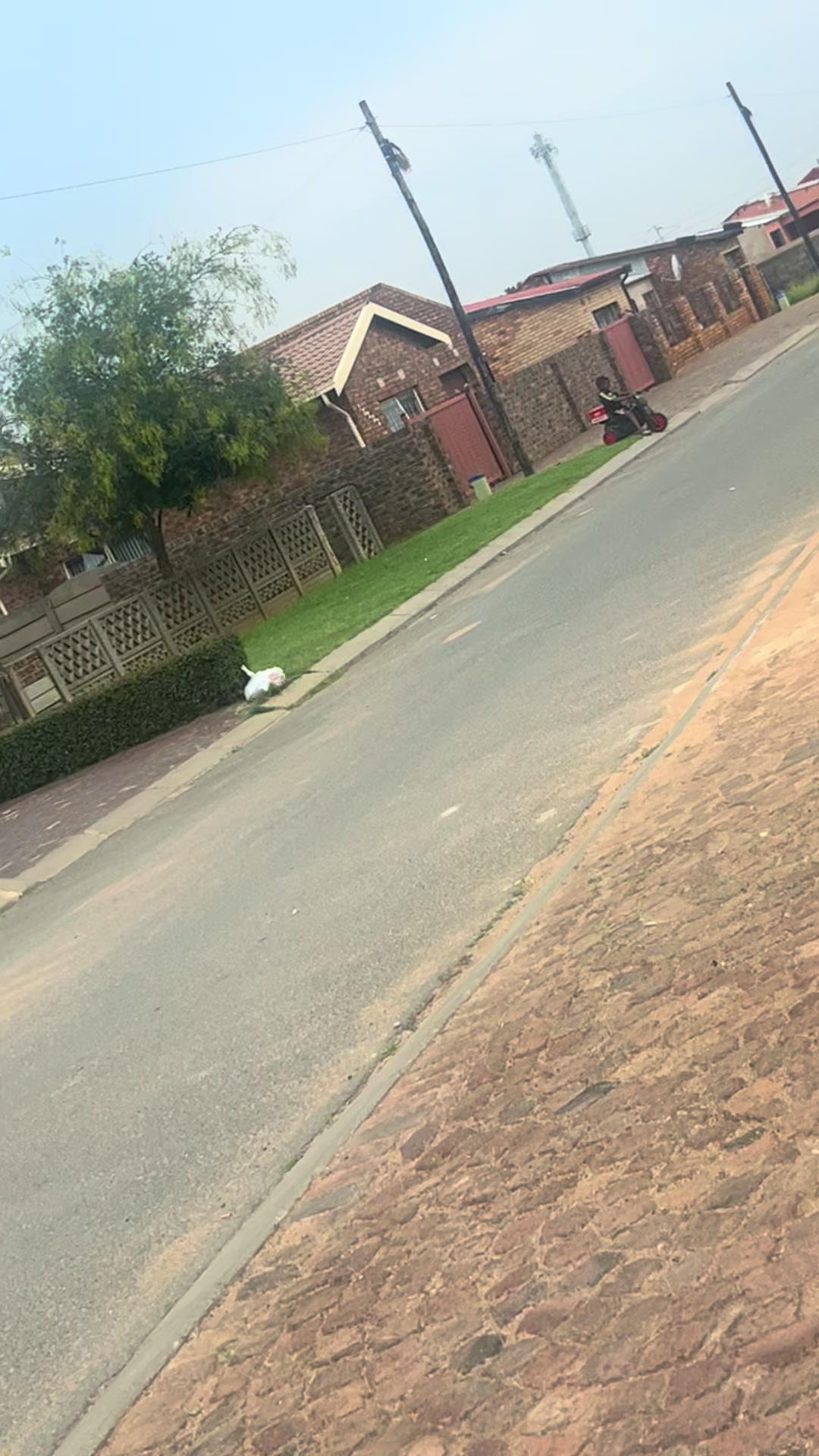 @Makgotso._