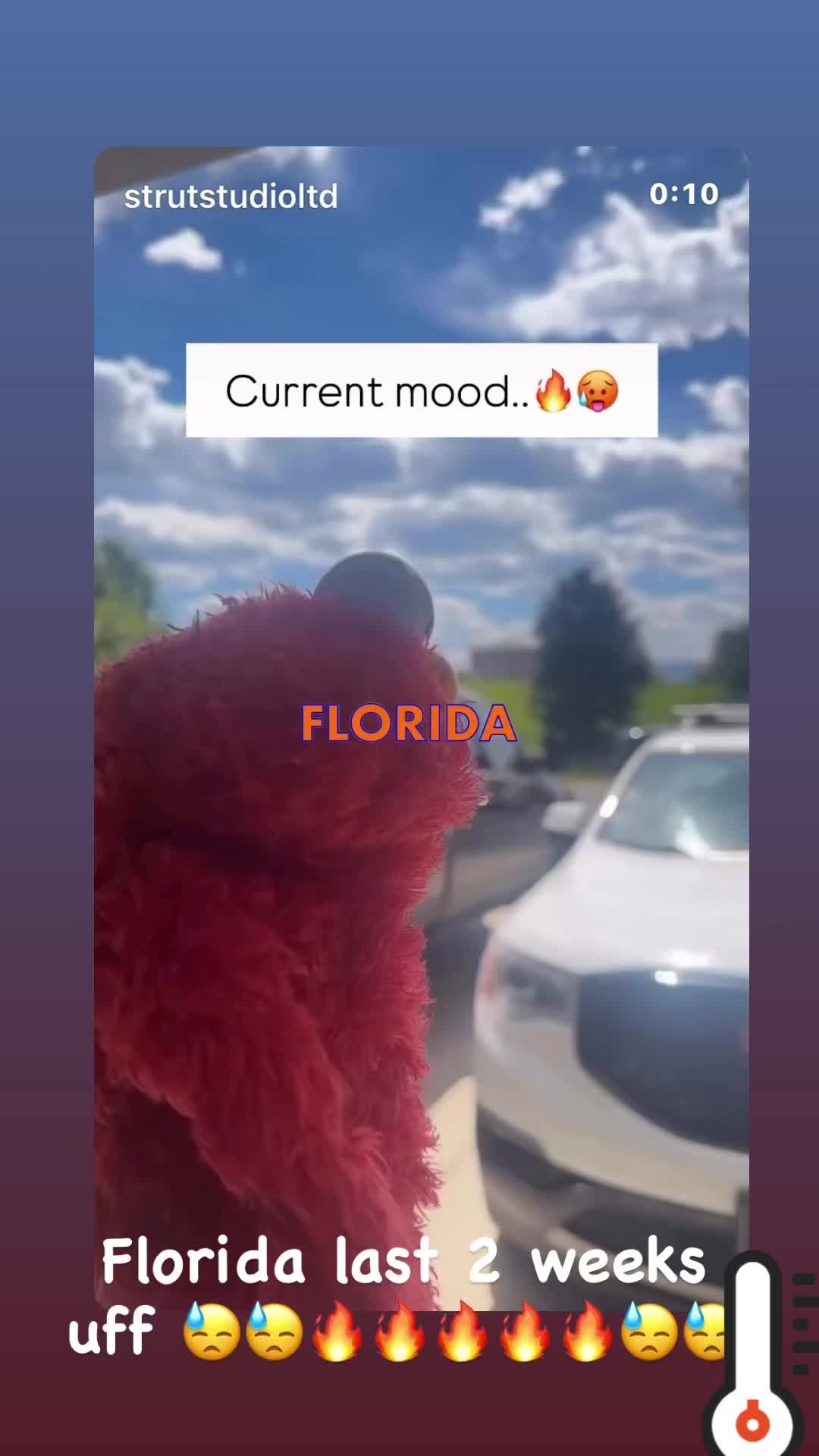 @julia☘️🇵🇷