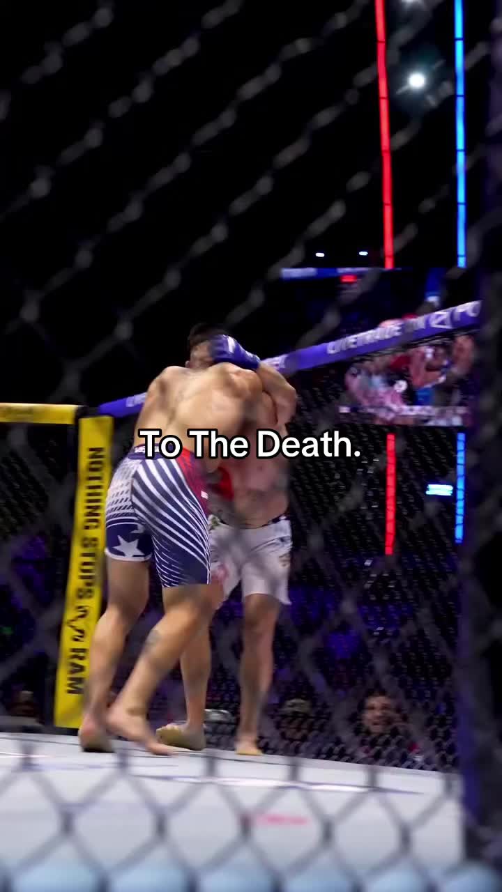 @The Daily Punchies