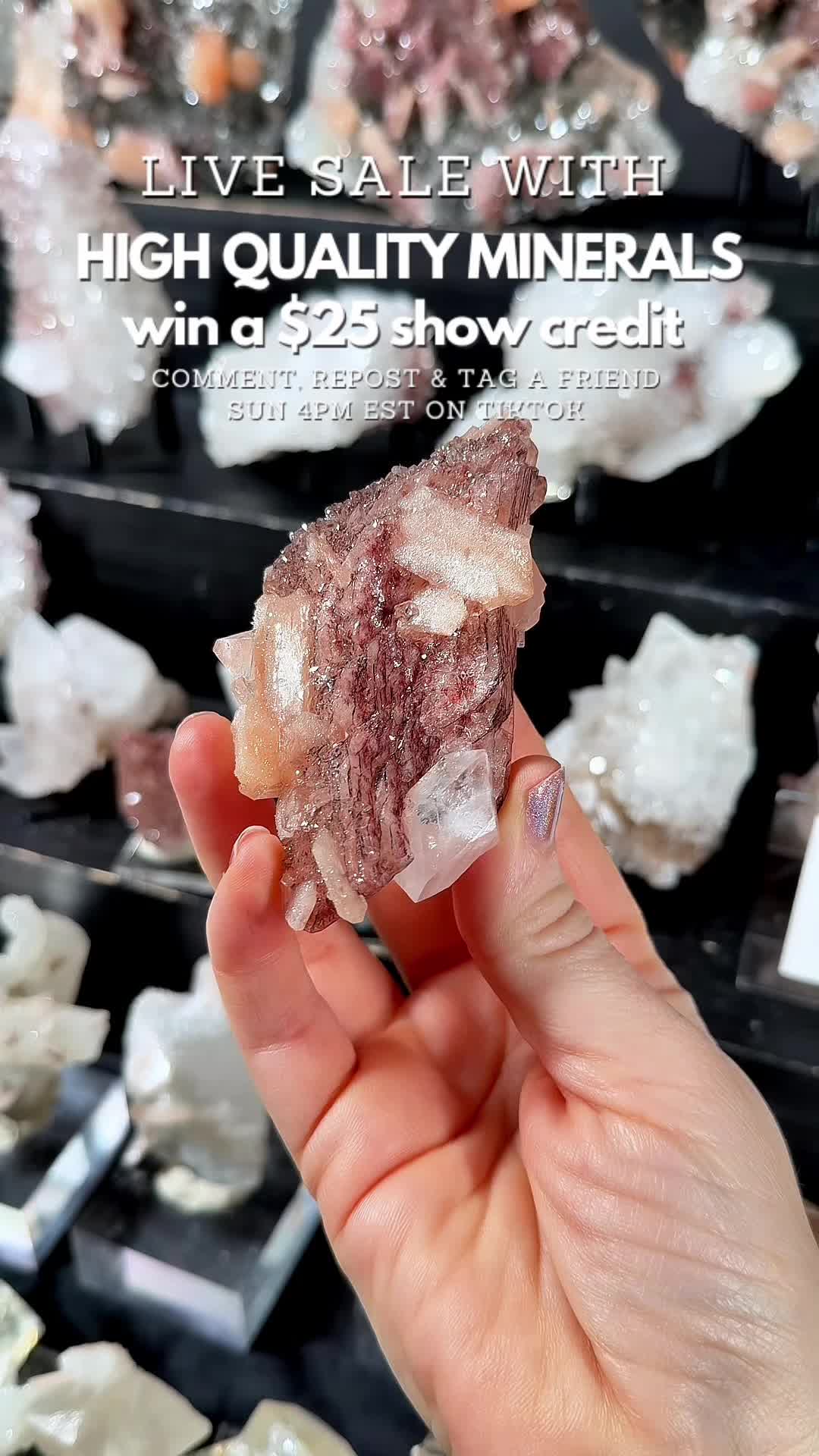 @Crystal Live Emporium✨Natalie