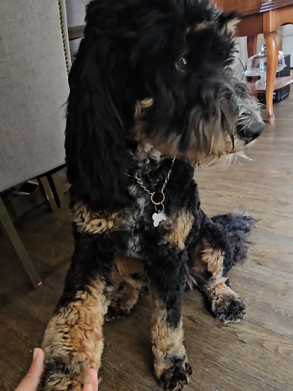 @The Belly Rub Hub