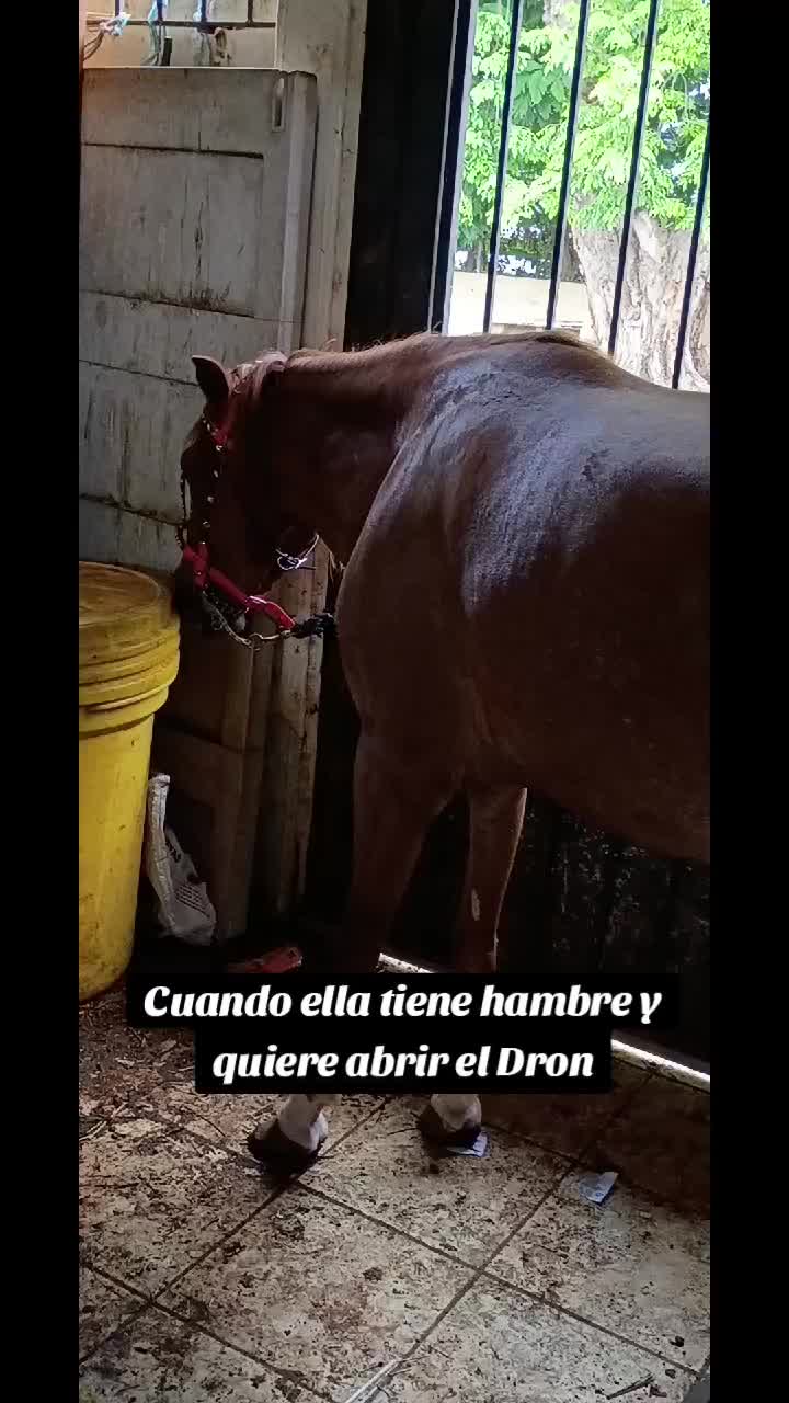@Hacienda Los Queridos