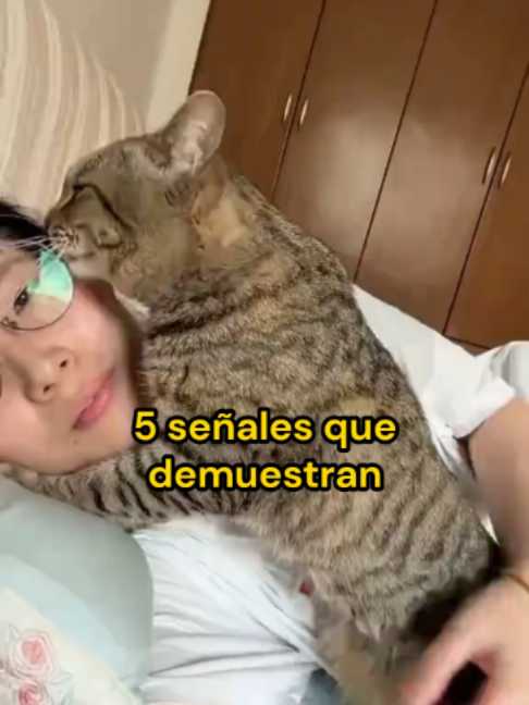@Mi Mascota Feliz