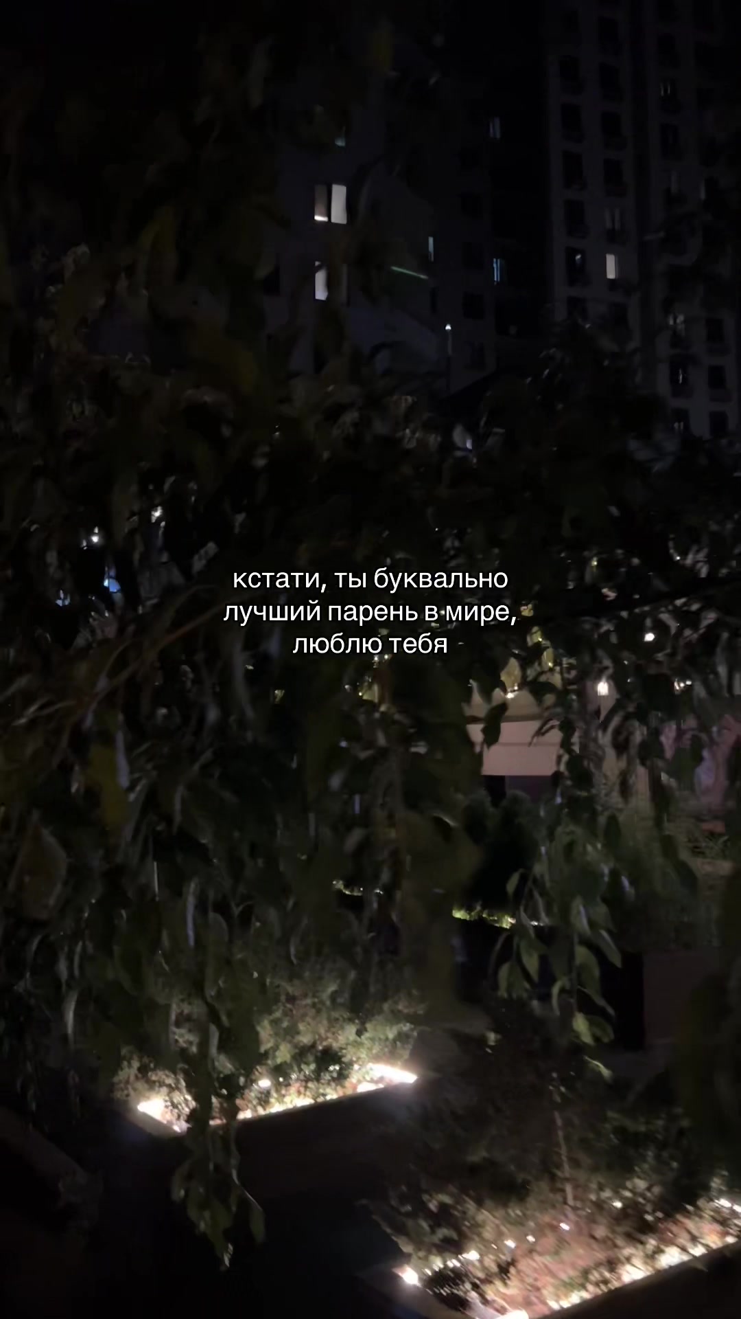 @кис кис💗