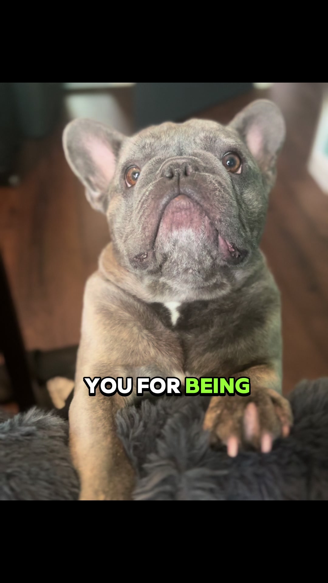 @Benny and Alfie