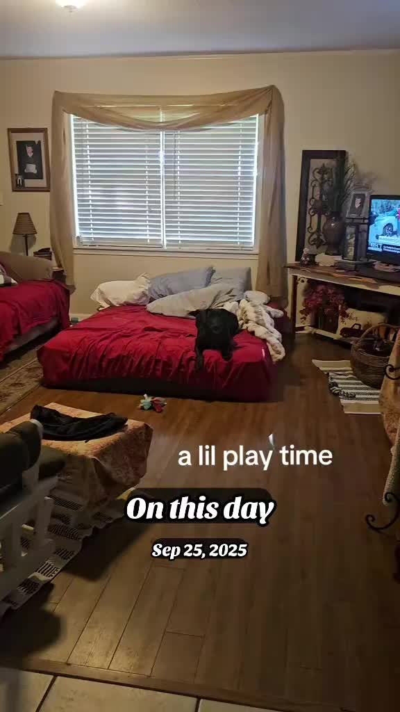 @TMAC❌️ tammymcconnell76
