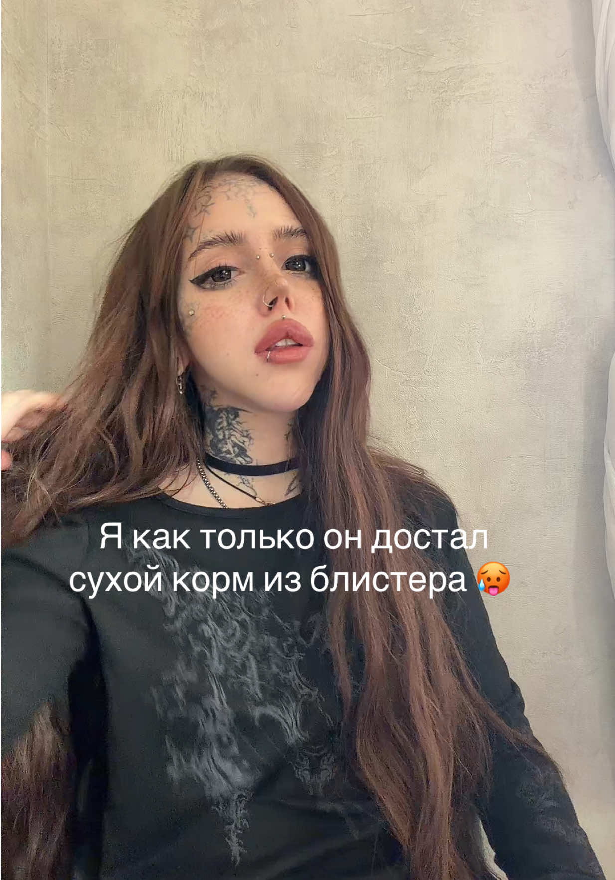 @imLapahapa 🐾