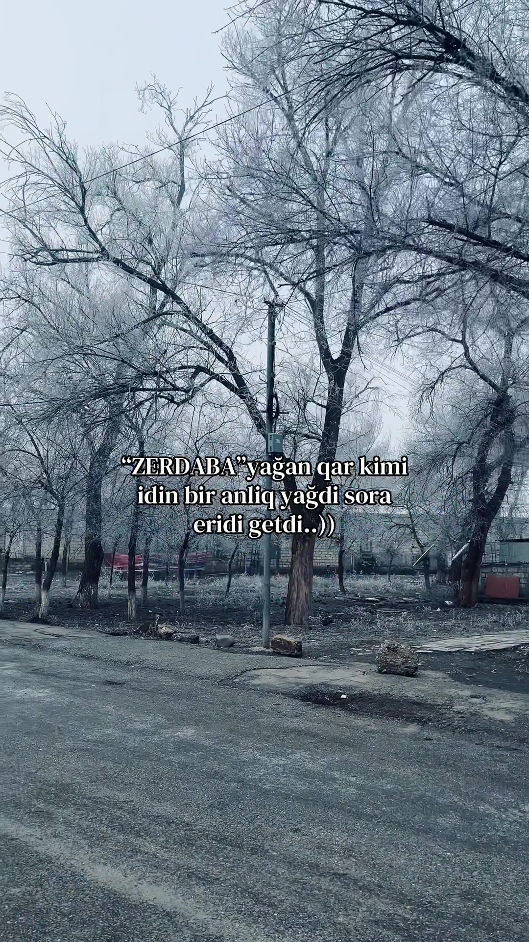 @M.C🗣️