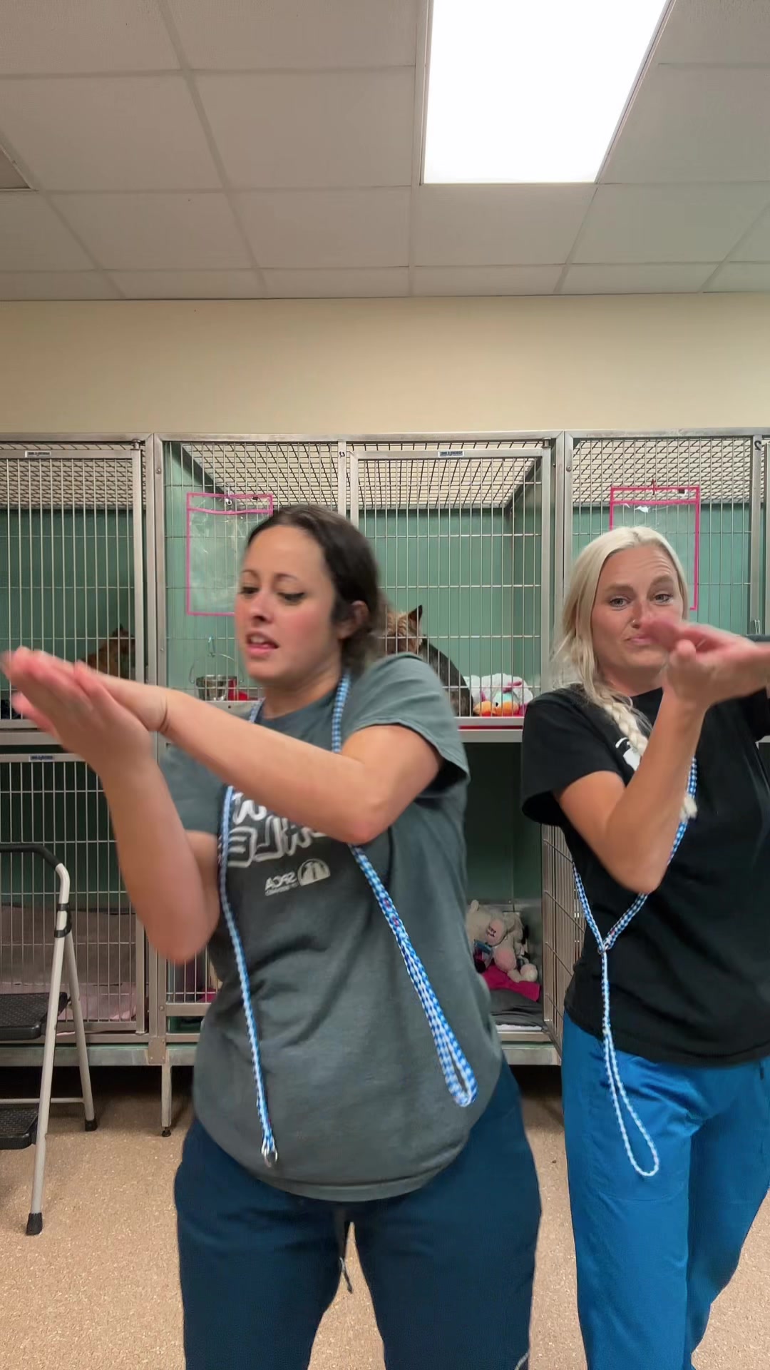 @2vettechs
