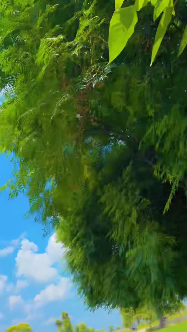 @༄Ɲαḋɾα💕Khαń࿐