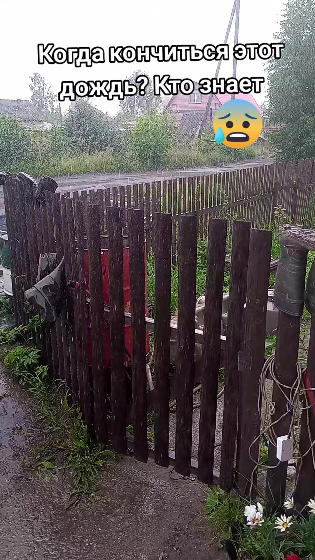 @Александр