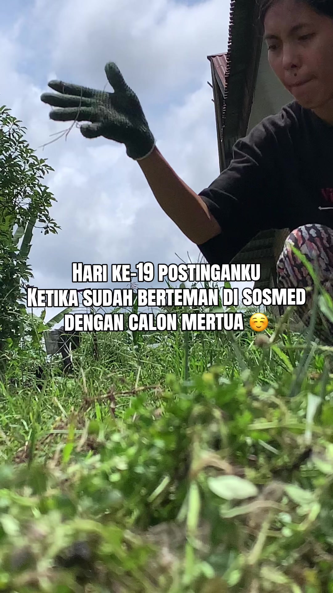 @Selenagepeng