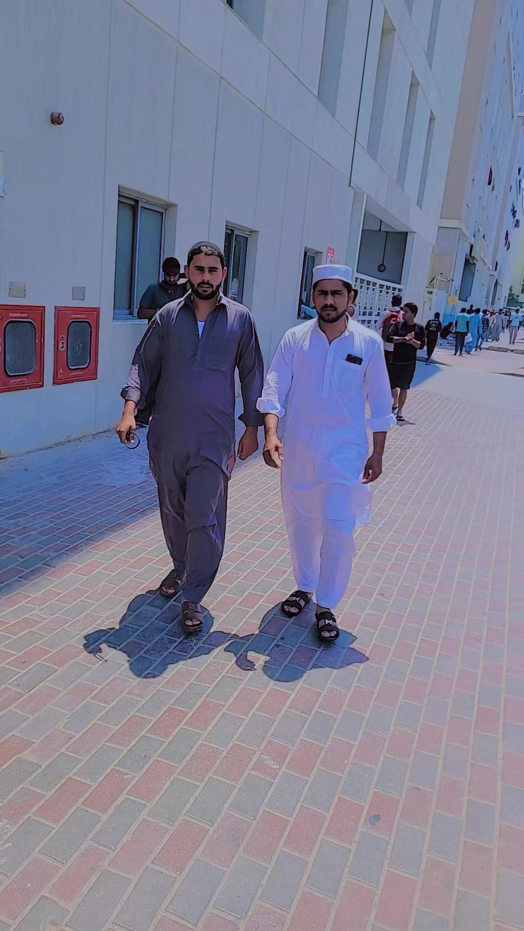 @Shahab Ali Shah