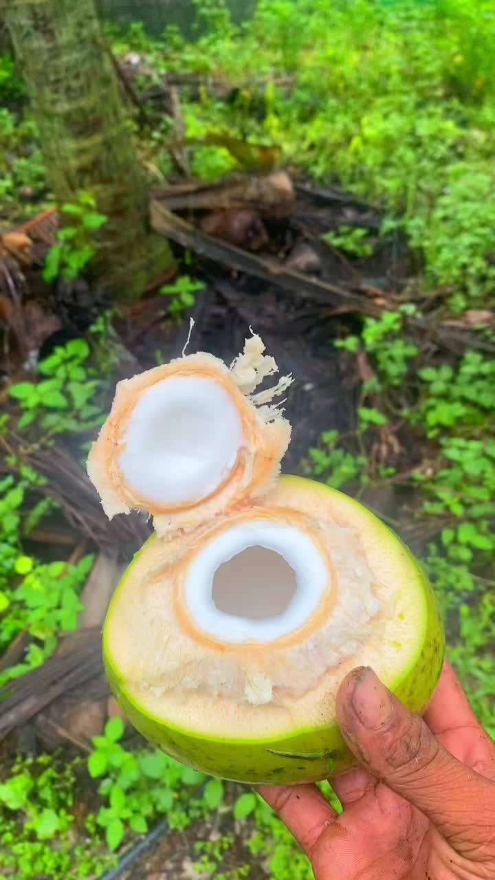 @啊周白虎