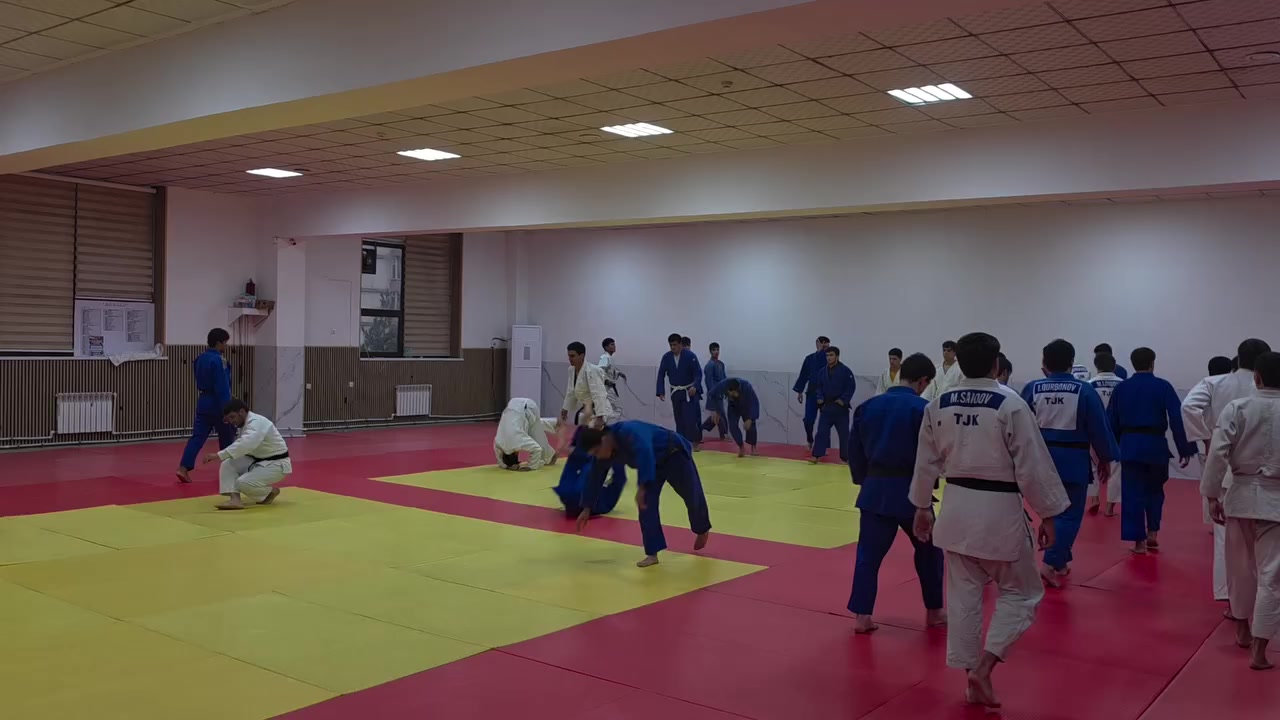 @mir_judo