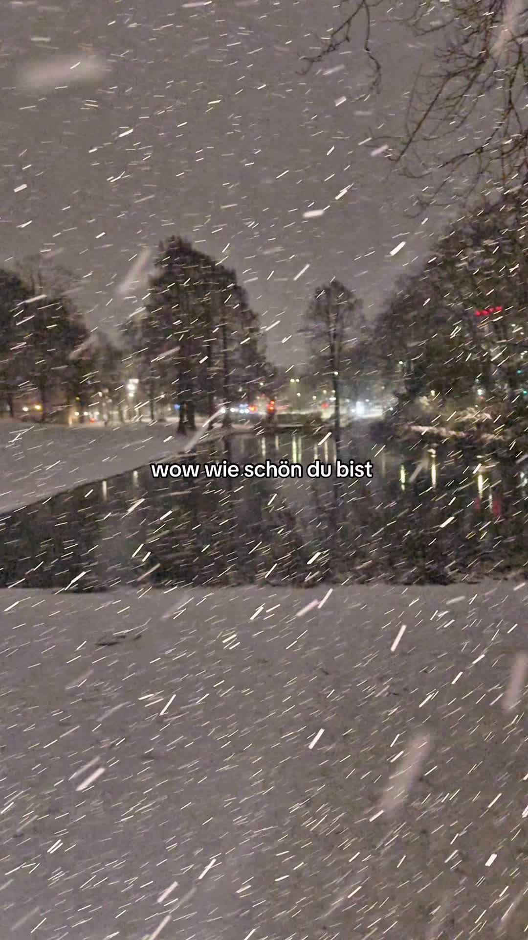 @︎ ︎