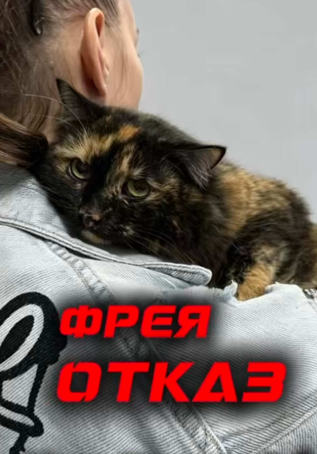 @help_animals_belarus