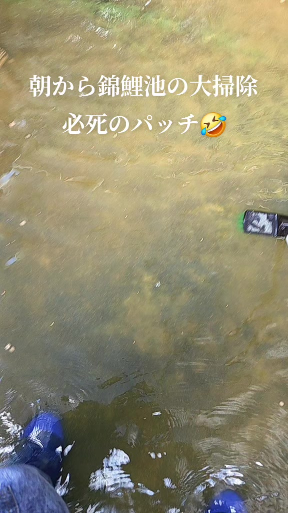 @零🇯🇵🌸零戦一番機🌸🇯🇵