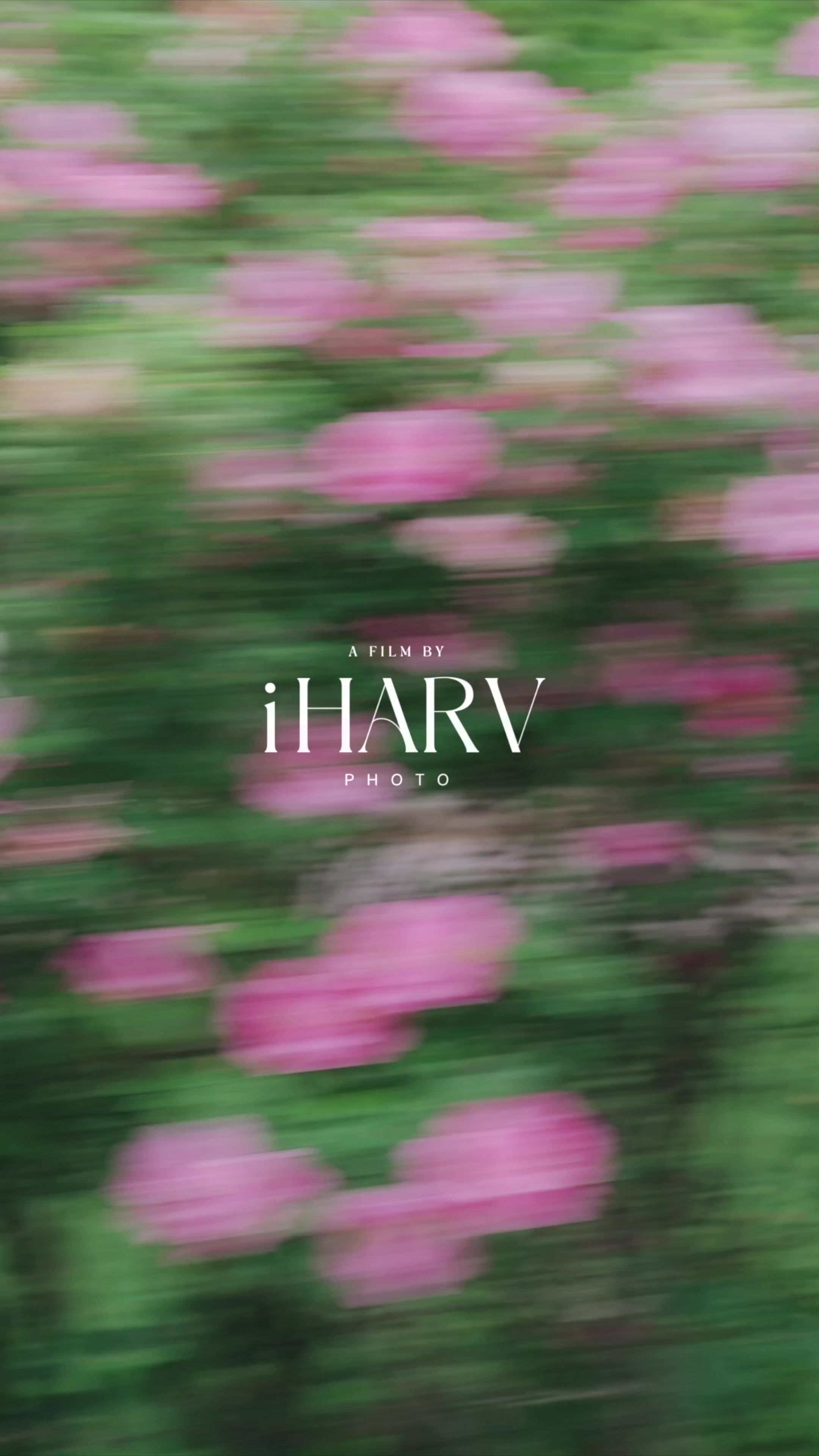 @iHarvPhoto