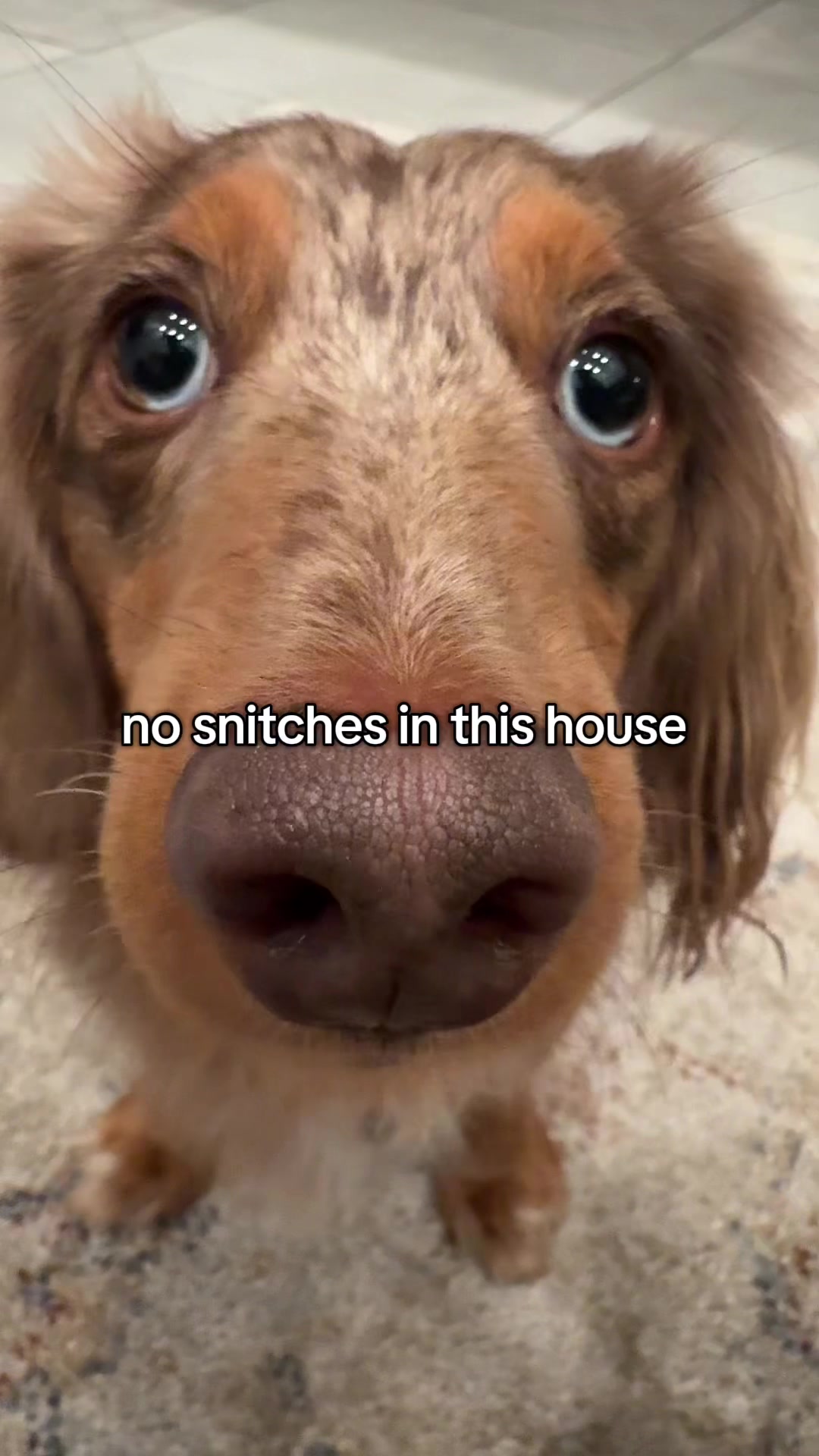@B&auml;shi