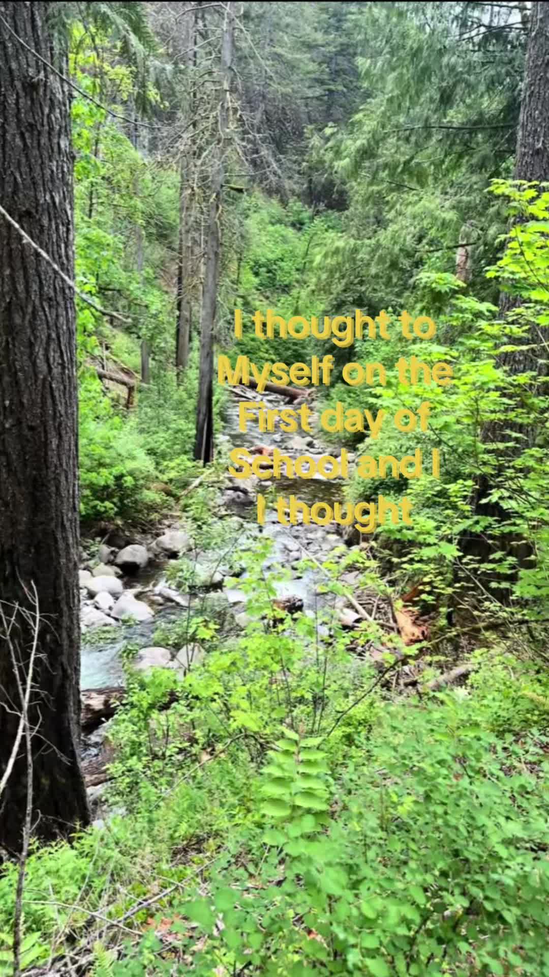 @vinsucx