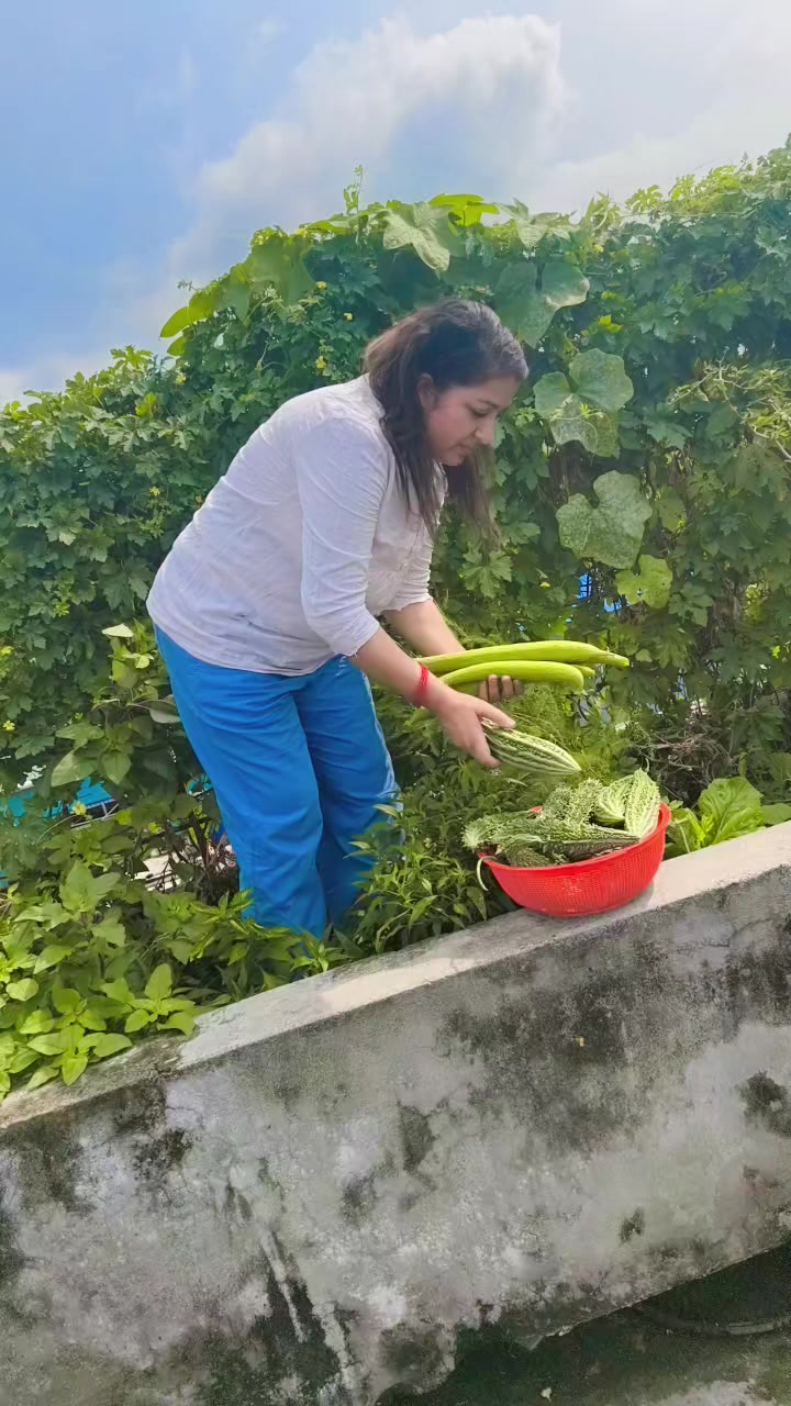 @sushilaparajuli46