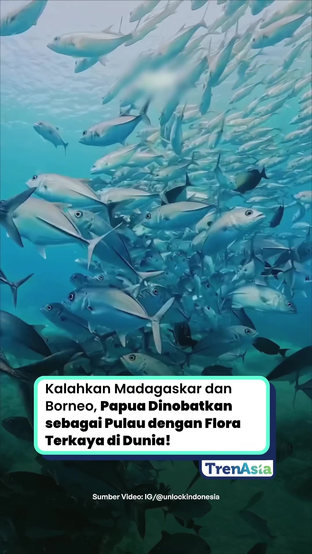 @TrenAsia | Informasi & Bisnis