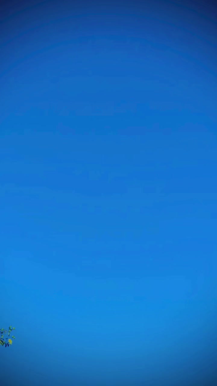 @⎝⎝✧ᴋǟ𐍃ʱίᴋʱǟᶰ✧⎠⎠