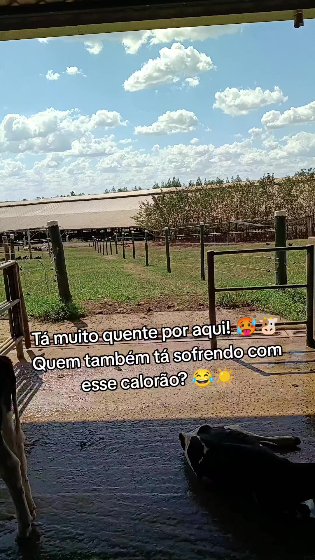 @Vivianne_Gomes_Oficial🌵🦋