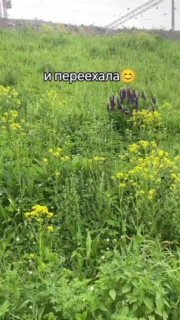 @Ольга
