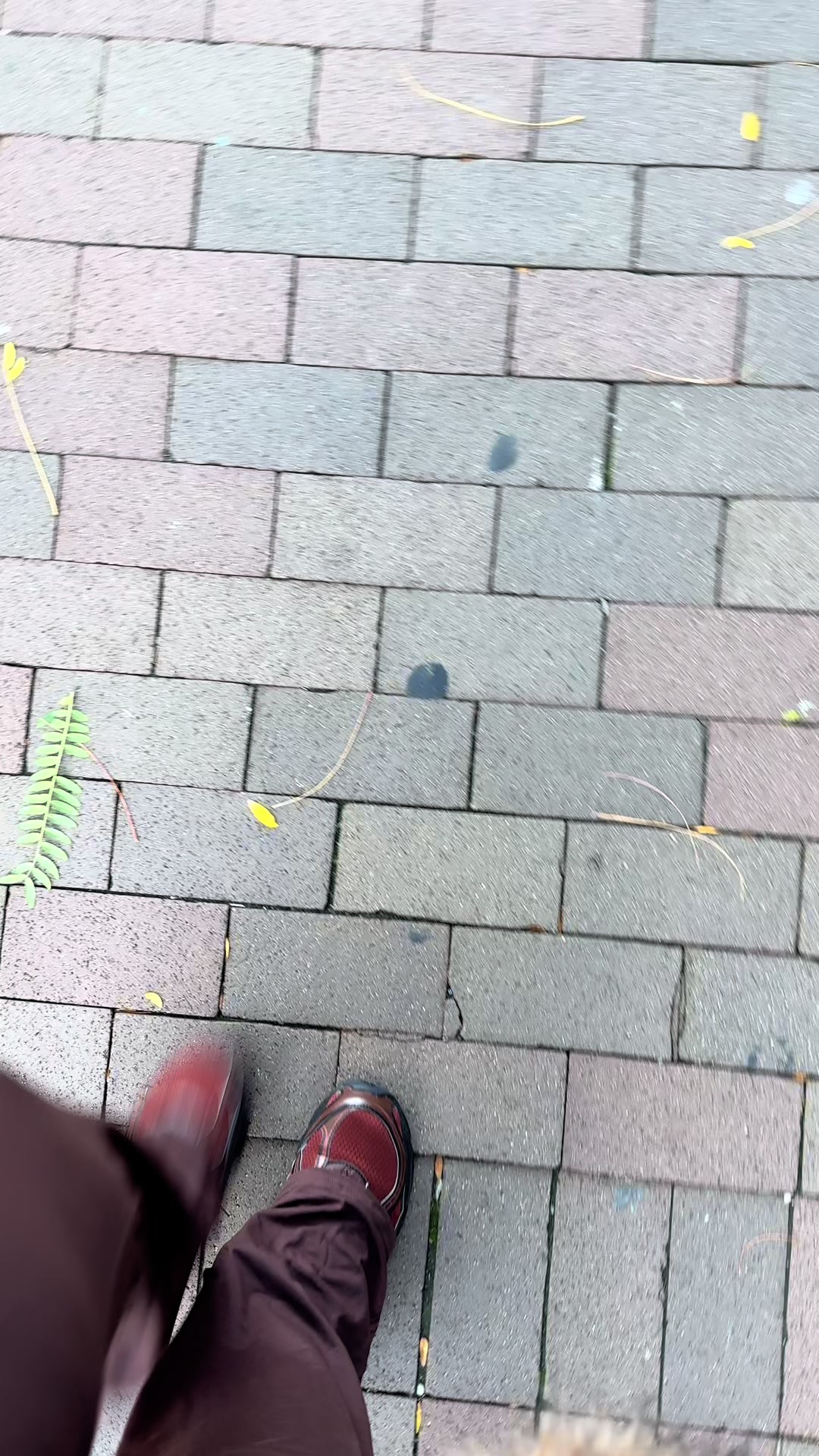@TamikaL